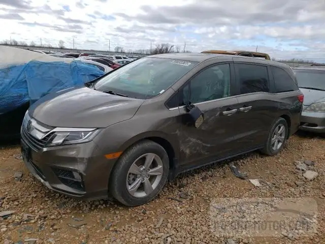 5FNRL6H73KB053251 2019 Honda Odyssey Exl