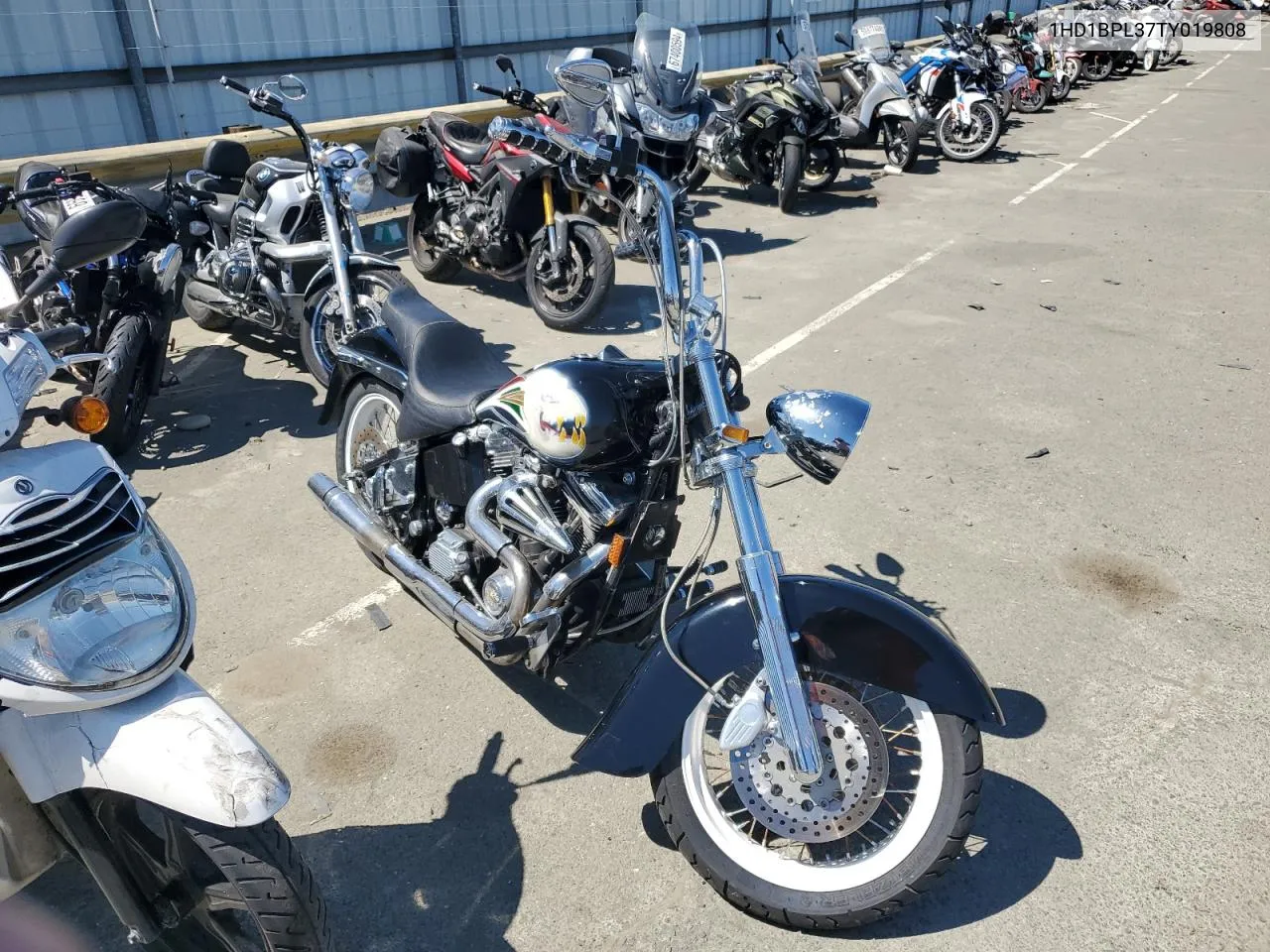 1996 Harley-Davidson Fxstsb VIN: 1HD1BPL37TY019808 Lot: 68380934