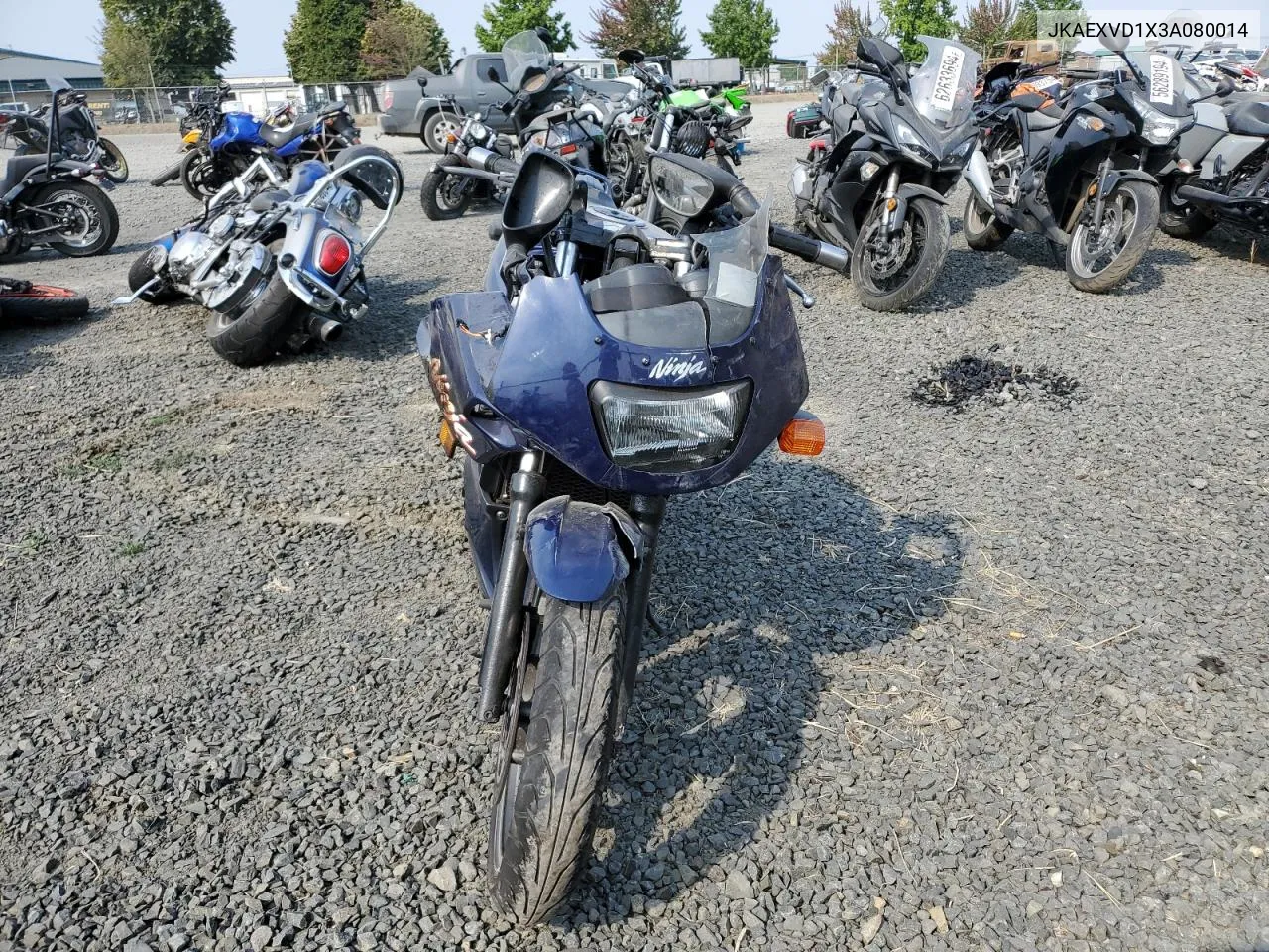 2003 Kawasaki Ex500 D VIN: JKAEXVD1X3A080014 Lot: 70479644