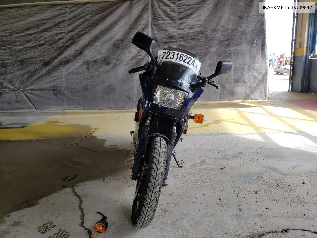 2005 Kawasaki Ex250 F VIN: JKAEXMF165DA09842 Lot: 72316224