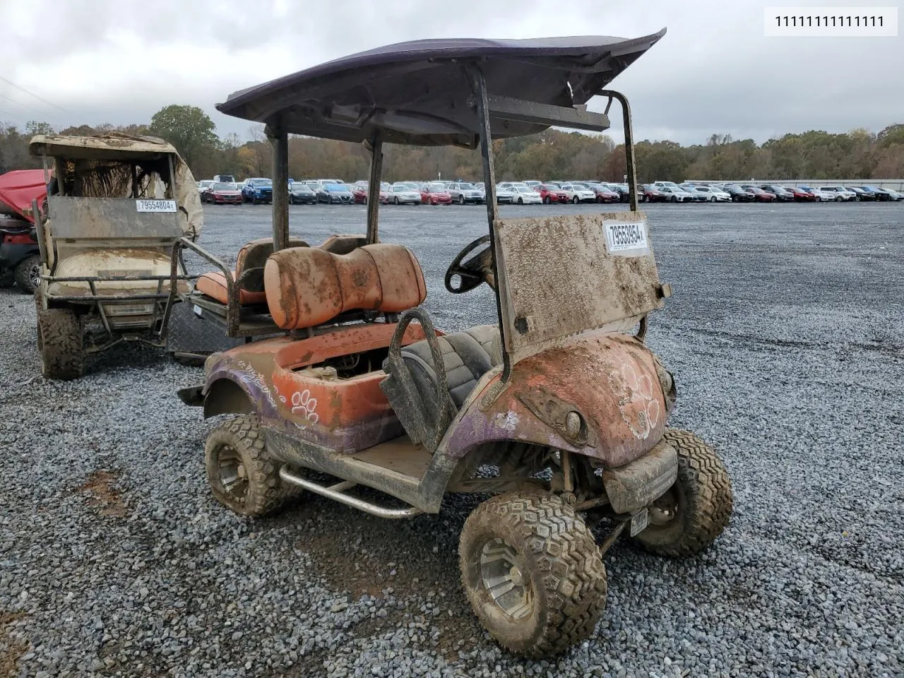 2008 Othr Golf Cart VIN: 11111111111111 Lot: 79553954