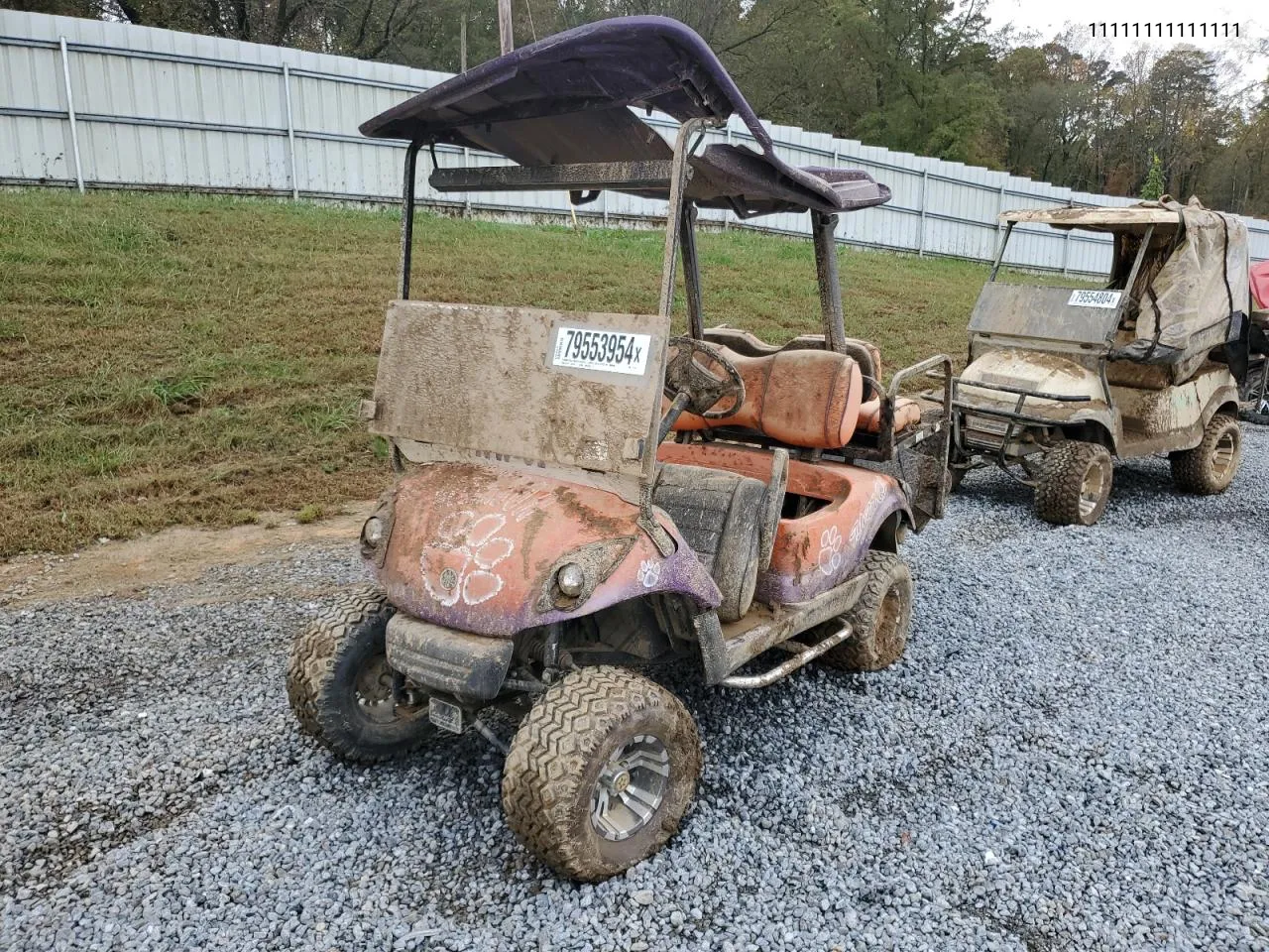 2008 Othr Golf Cart VIN: 11111111111111 Lot: 79553954