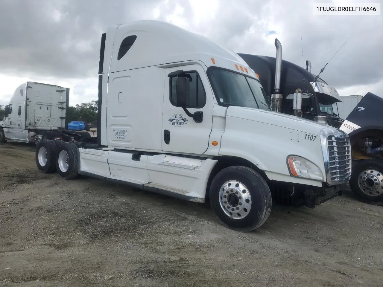 2014 Freightliner Cascadia 125 VIN: 1FUJGLDR0ELFH6646 Lot: 72686404