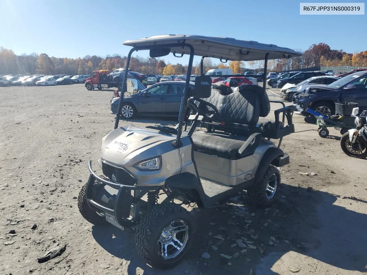 2023 Golf Cart VIN: R67FJPP31NS000319 Lot: 78166674