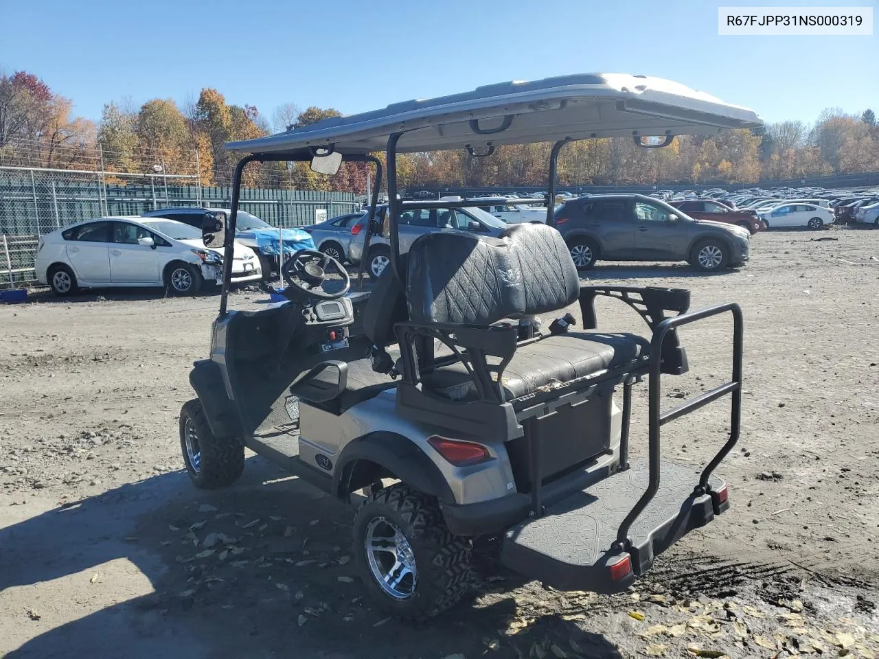 2023 Golf Cart VIN: R67FJPP31NS000319 Lot: 78166674