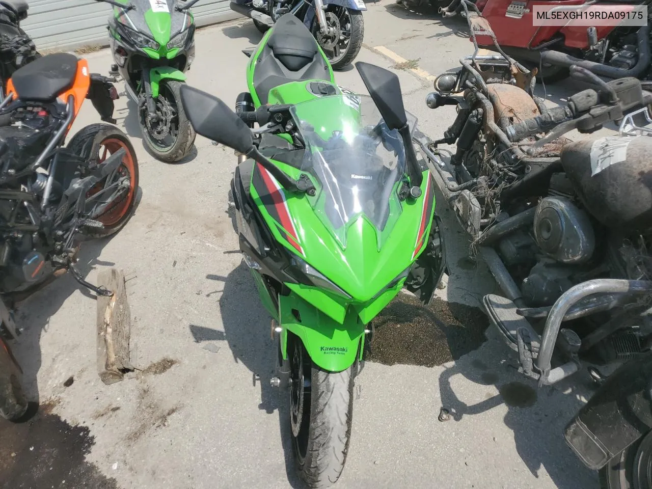 2024 Kawasaki Ex500 H VIN: ML5EXGH19RDA09175 Lot: 69056744