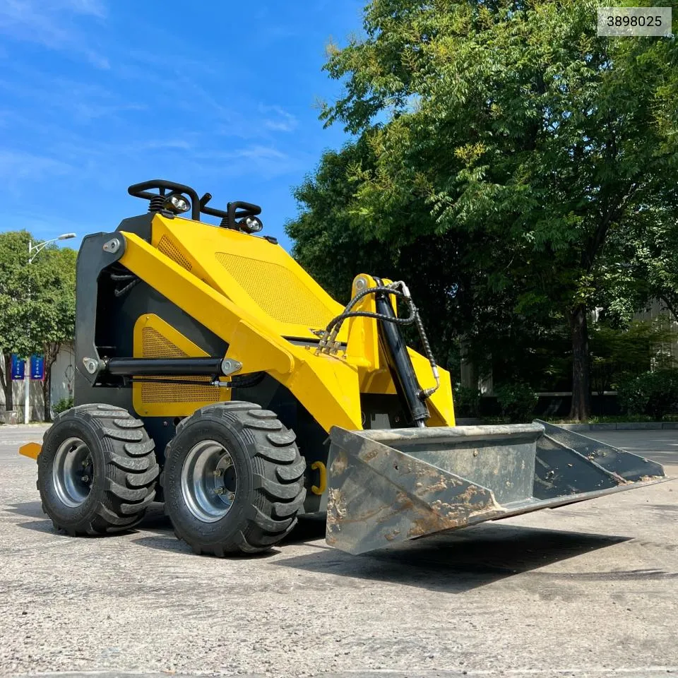 2024 Other Skid Steer VIN: 3898025 Lot: 78822414