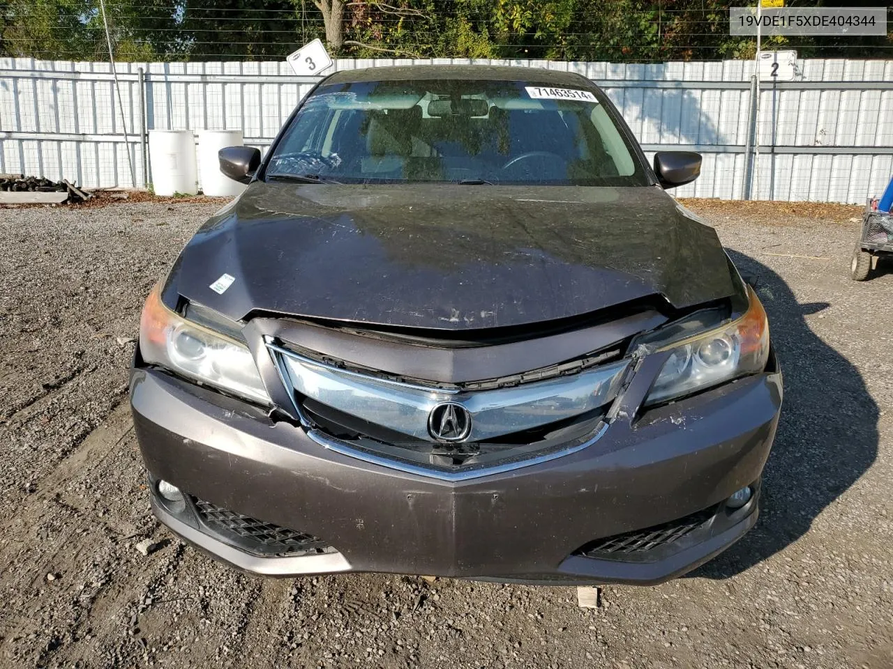 2013 Acura Ilx 20 Premium VIN: 19VDE1F5XDE404344 Lot: 71463514