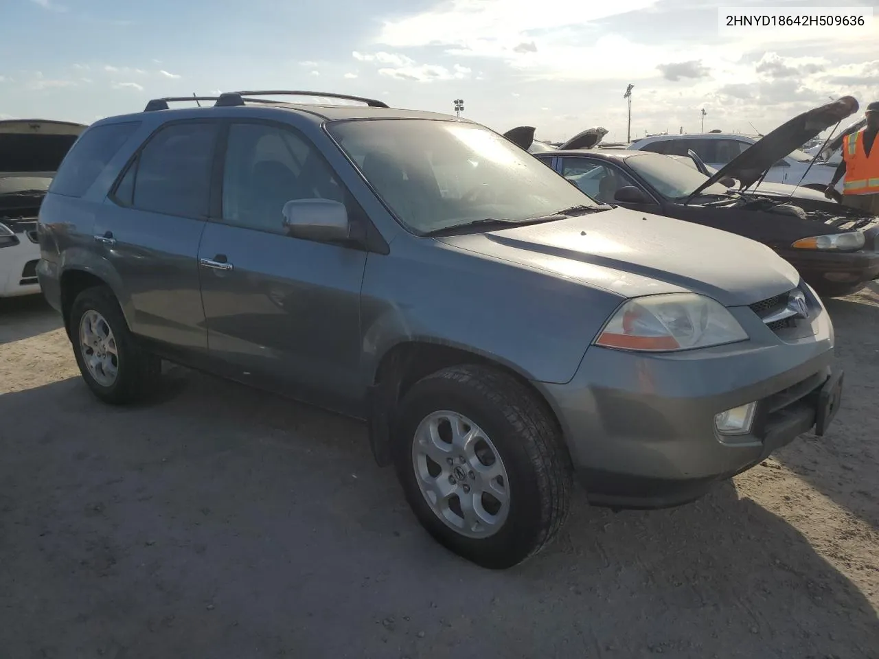 2002 Acura Mdx Touring VIN: 2HNYD18642H509636 Lot: 74364754