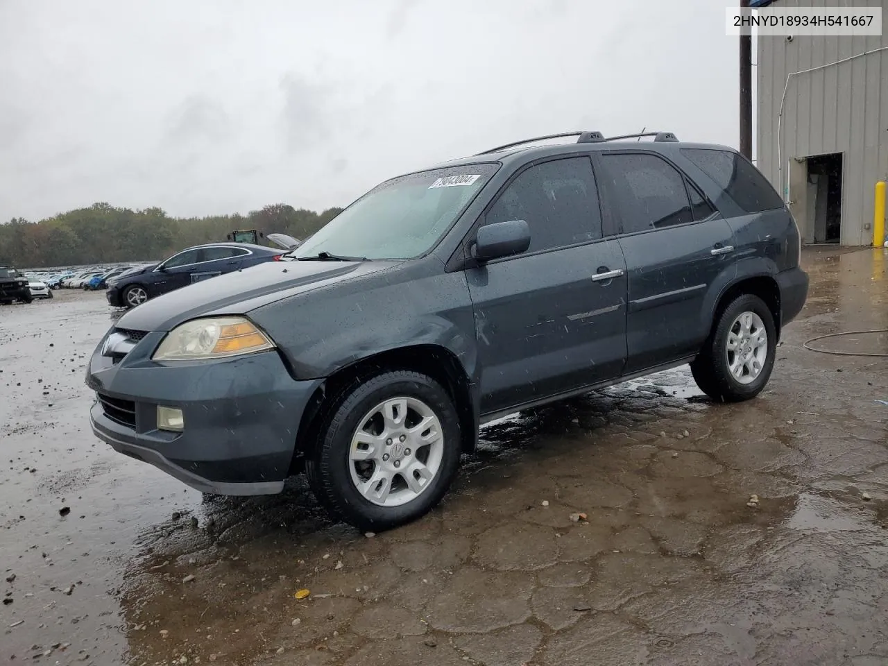 2004 Acura Mdx Touring VIN: 2HNYD18934H541667 Lot: 79043004