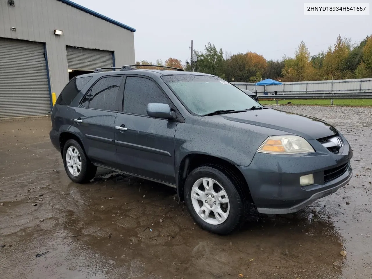 2004 Acura Mdx Touring VIN: 2HNYD18934H541667 Lot: 79043004