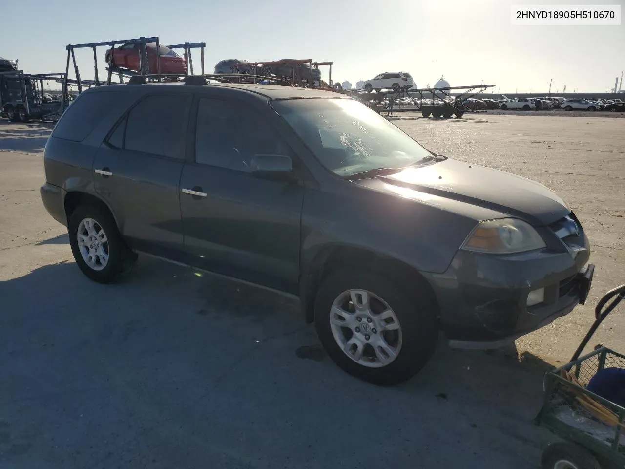 2005 Acura Mdx Touring VIN: 2HNYD18905H510670 Lot: 44149924