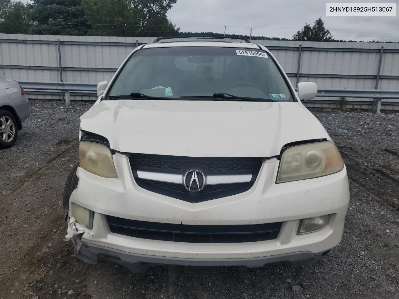 2005 Acura Mdx Touring VIN: 2HNYD18925H513067 Lot: 62610954