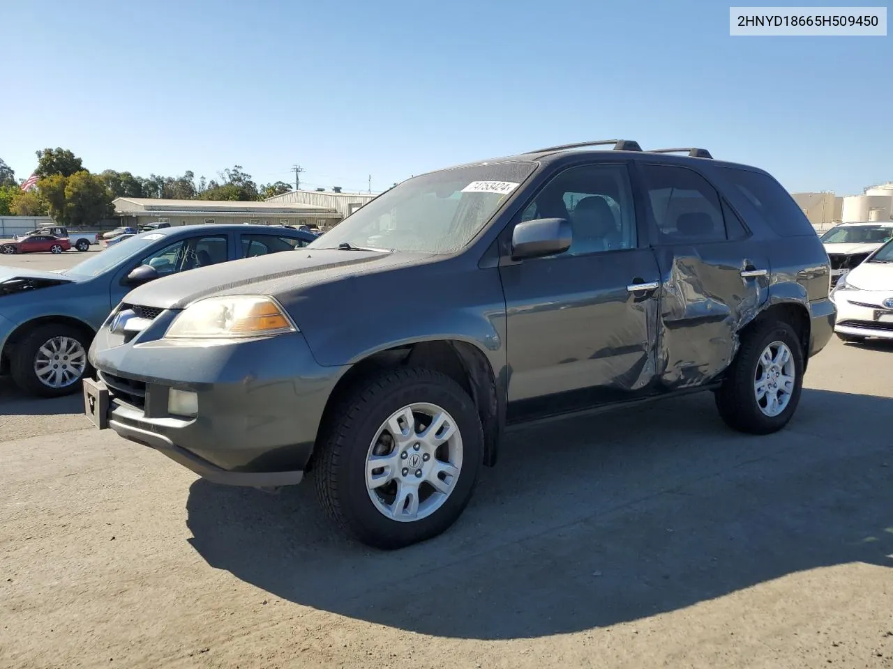 2005 Acura Mdx Touring VIN: 2HNYD18665H509450 Lot: 74753424