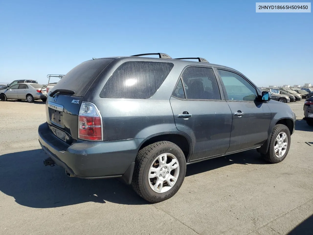 2005 Acura Mdx Touring VIN: 2HNYD18665H509450 Lot: 74753424