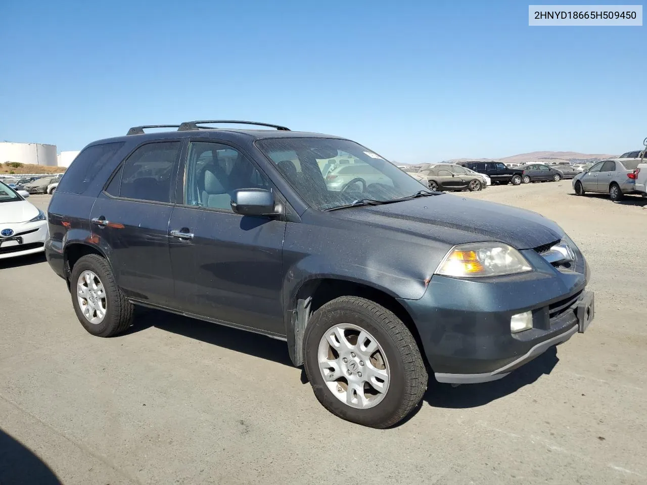 2005 Acura Mdx Touring VIN: 2HNYD18665H509450 Lot: 74753424