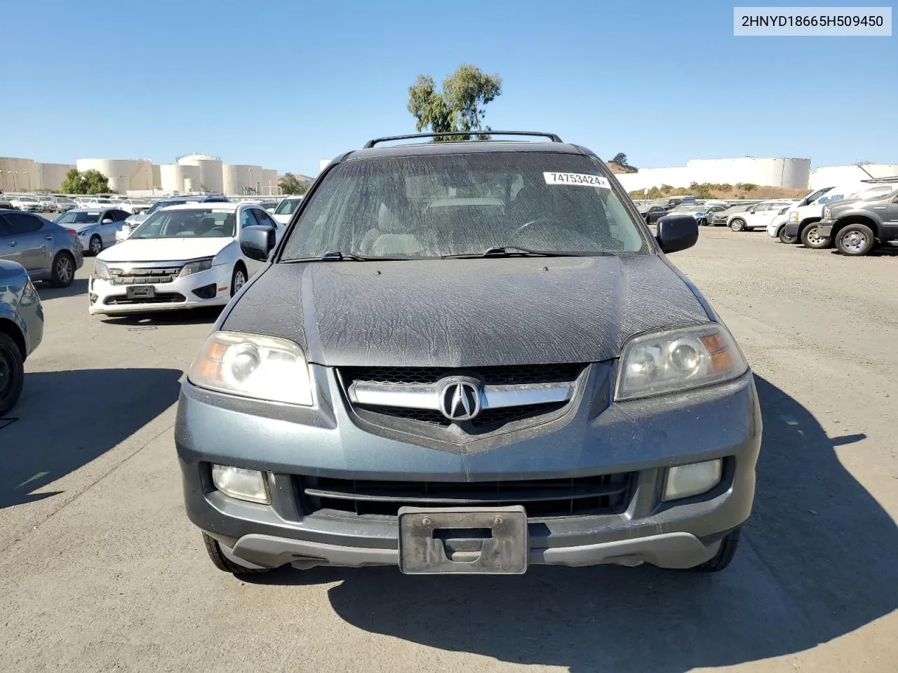 2005 Acura Mdx Touring VIN: 2HNYD18665H509450 Lot: 74753424