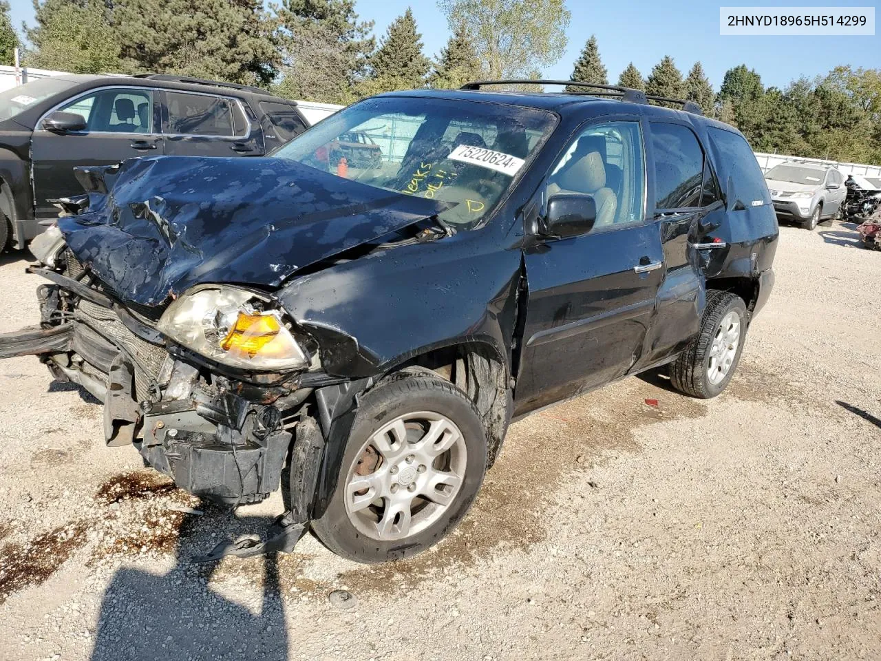 2005 Acura Mdx Touring VIN: 2HNYD18965H514299 Lot: 75220624