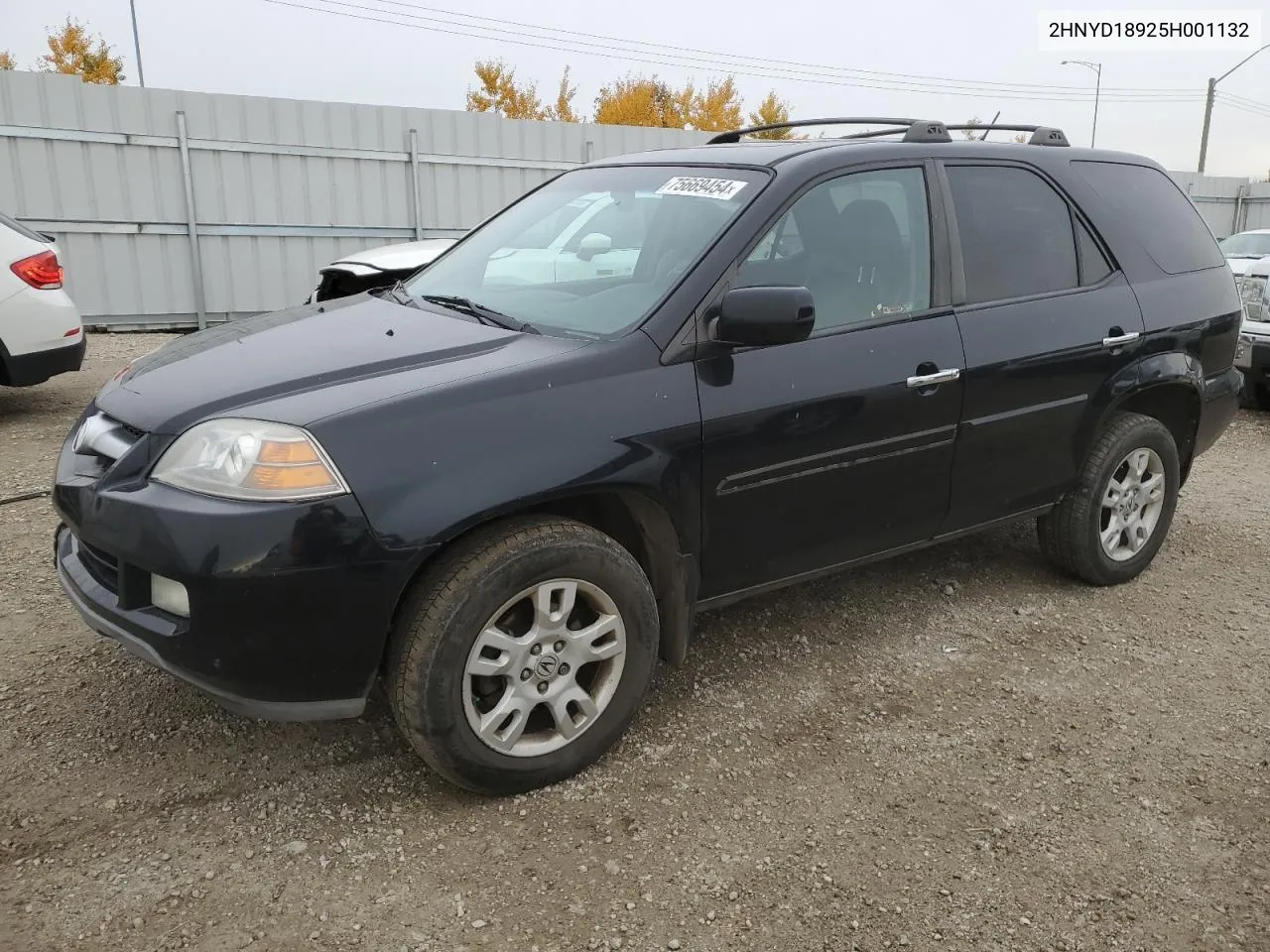 2005 Acura Mdx Touring VIN: 2HNYD18925H001132 Lot: 75669454