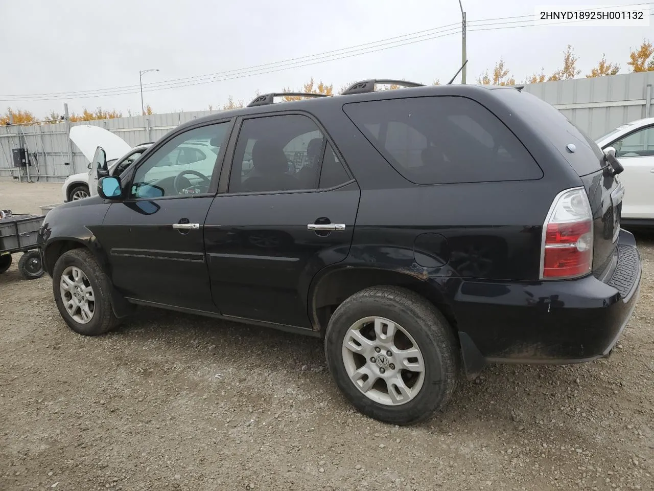 2005 Acura Mdx Touring VIN: 2HNYD18925H001132 Lot: 75669454