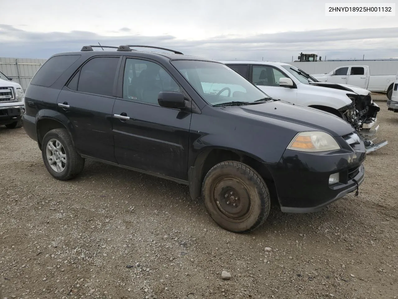 2005 Acura Mdx Touring VIN: 2HNYD18925H001132 Lot: 75669454