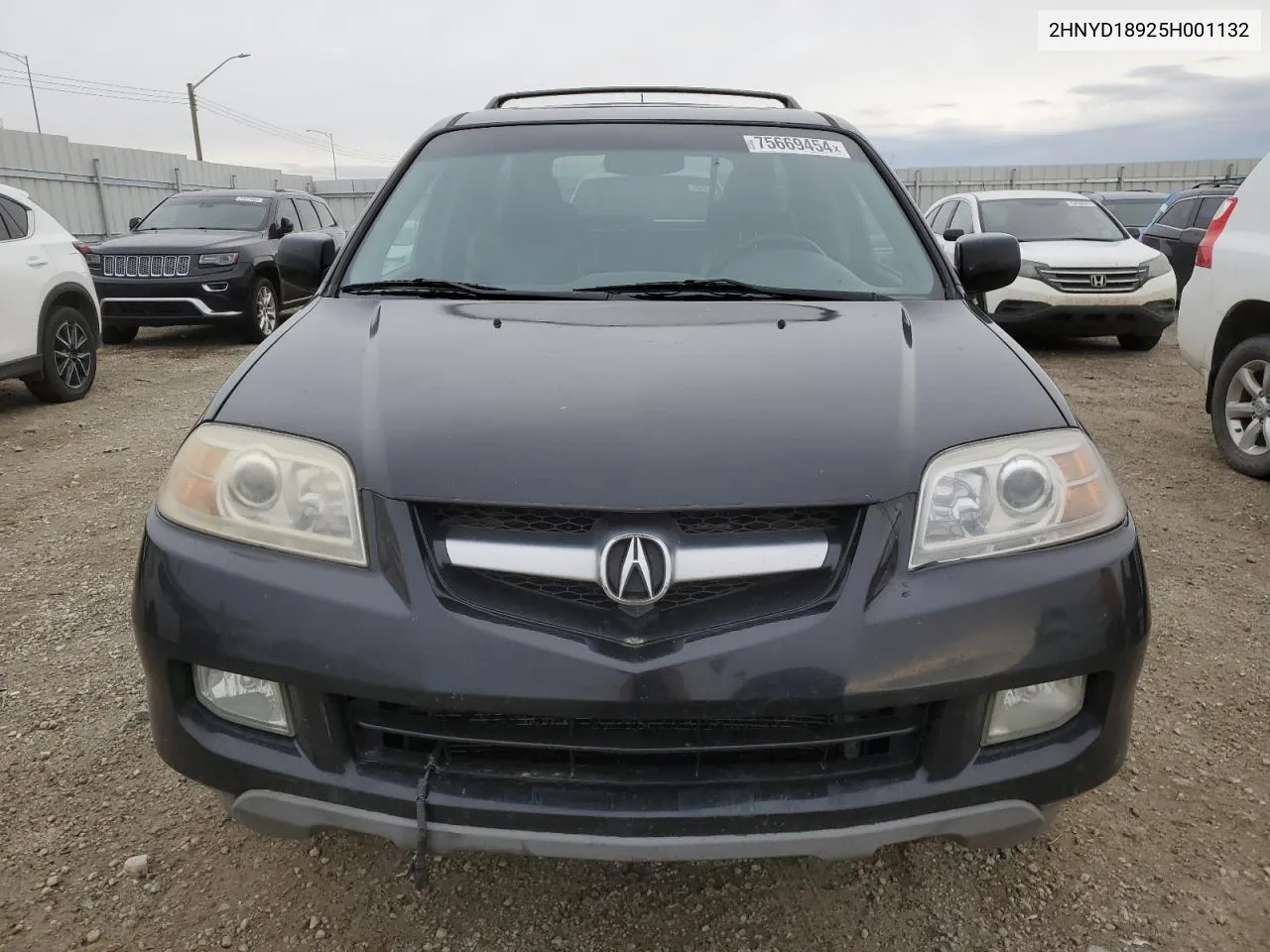 2005 Acura Mdx Touring VIN: 2HNYD18925H001132 Lot: 75669454