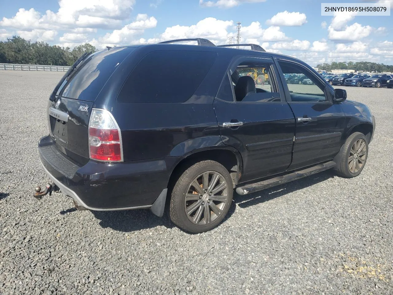 2005 Acura Mdx Touring VIN: 2HNYD18695H508079 Lot: 76188014