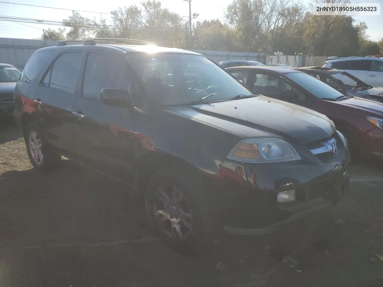 2005 Acura Mdx Touring VIN: 2HNYD18905H556323 Lot: 76584474