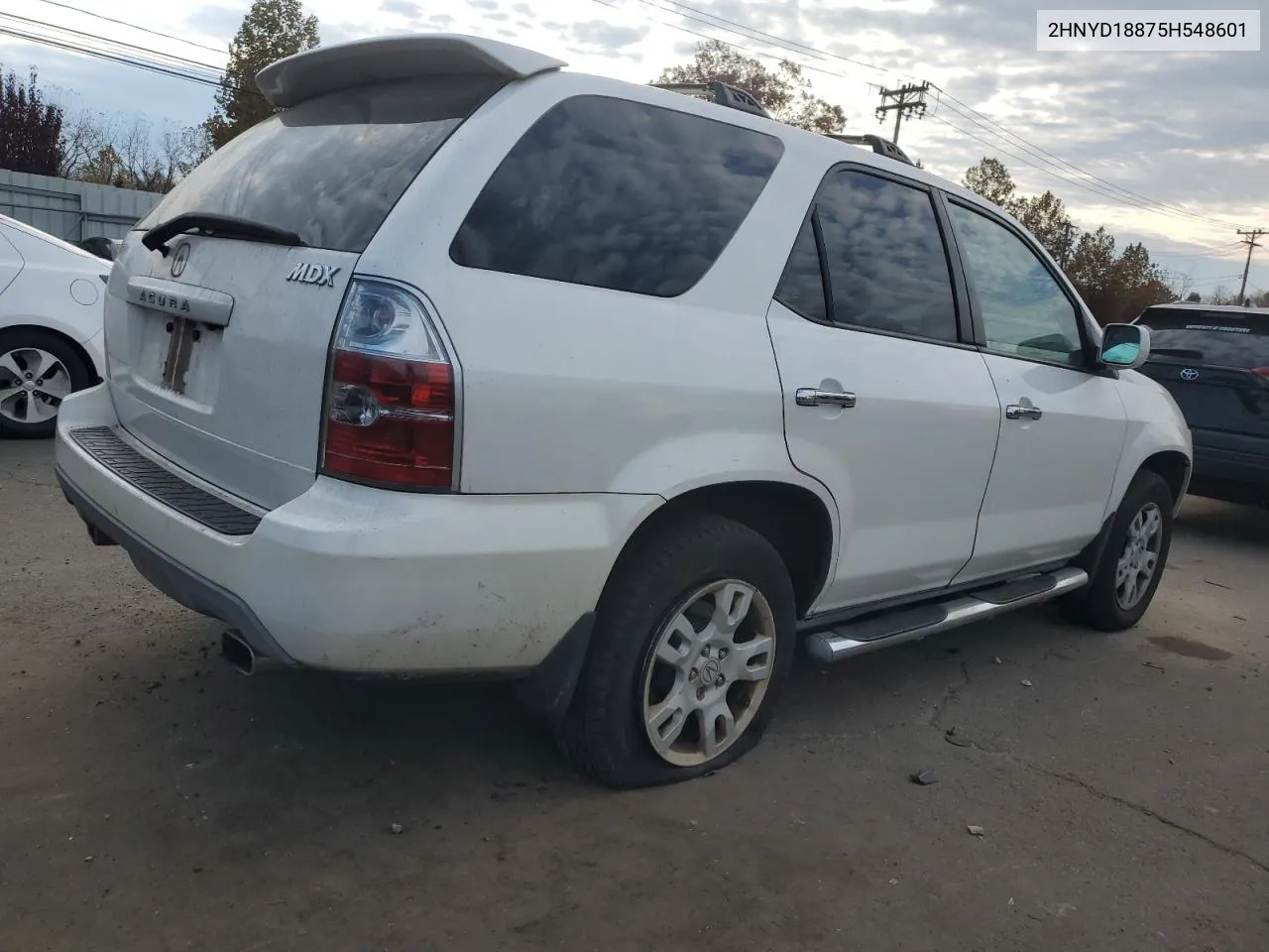 2005 Acura Mdx Touring VIN: 2HNYD18875H548601 Lot: 77307734