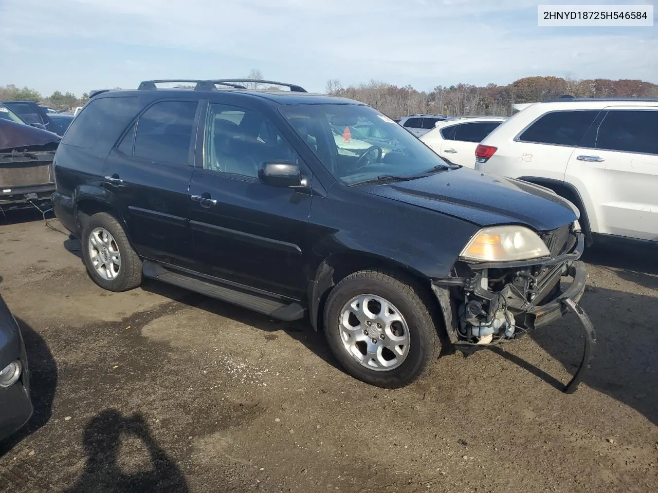 2005 Acura Mdx Touring VIN: 2HNYD18725H546584 Lot: 77438074