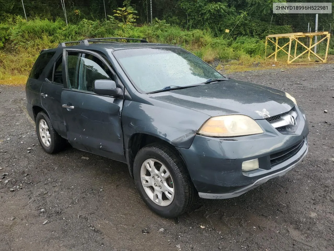 2006 Acura Mdx Touring VIN: 2HNYD18996H522981 Lot: 69051144