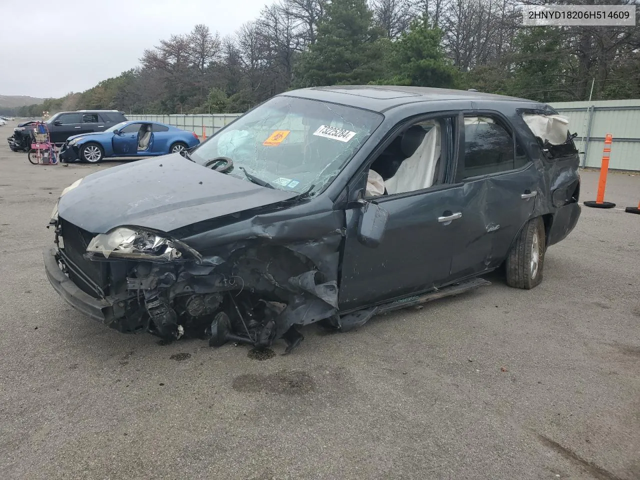 2006 Acura Mdx VIN: 2HNYD18206H514609 Lot: 73225284