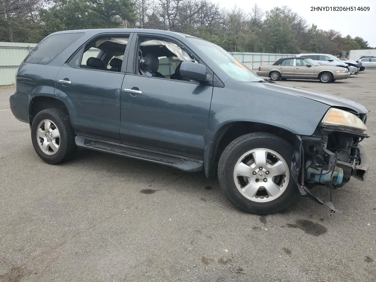 2006 Acura Mdx VIN: 2HNYD18206H514609 Lot: 73225284