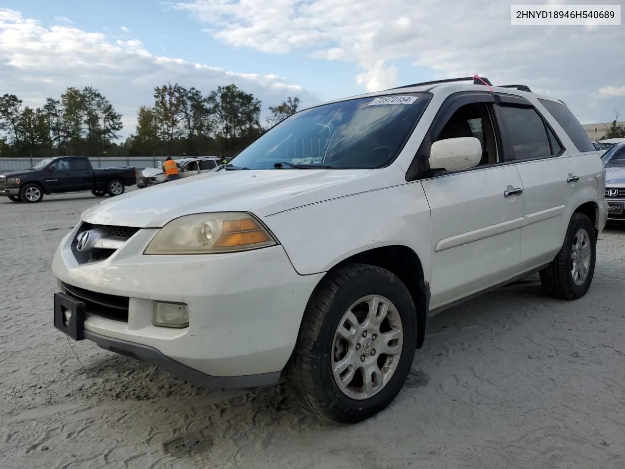 2006 Acura Mdx Touring VIN: 2HNYD18946H540689 Lot: 73970154