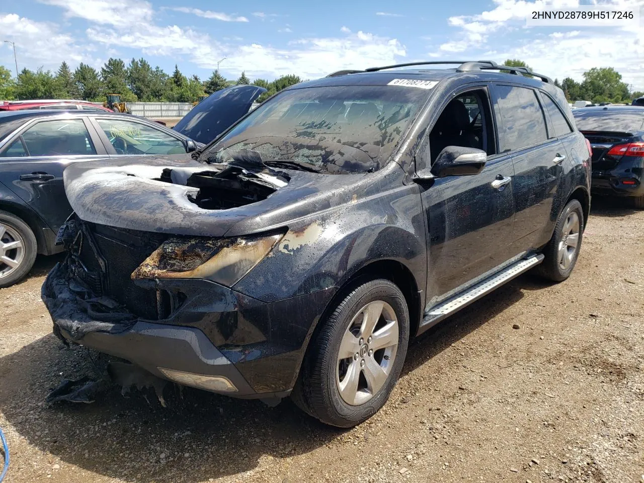 2009 Acura Mdx Sport VIN: 2HNYD28789H517246 Lot: 61708274