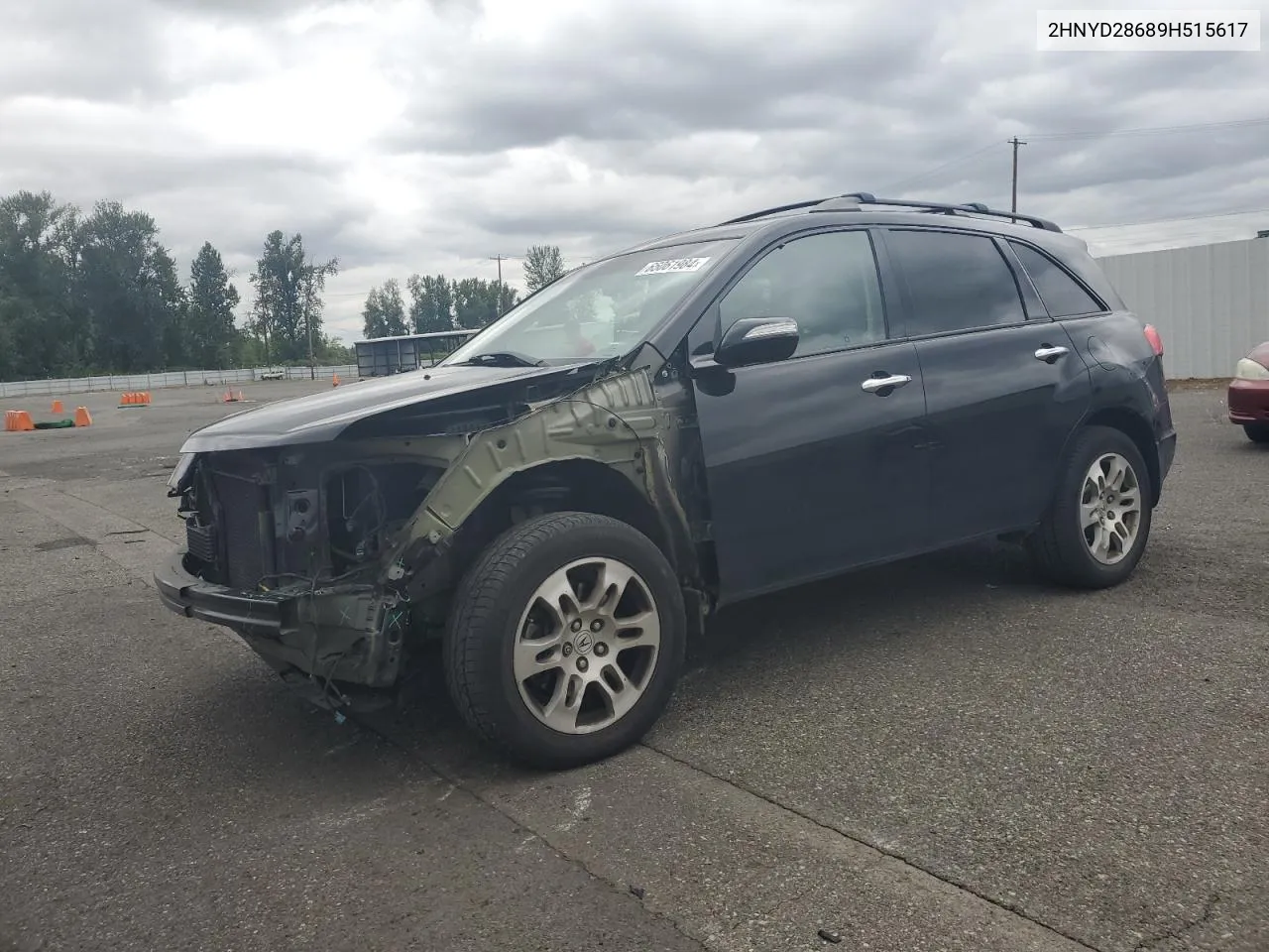 2009 Acura Mdx Technology VIN: 2HNYD28689H515617 Lot: 65061984