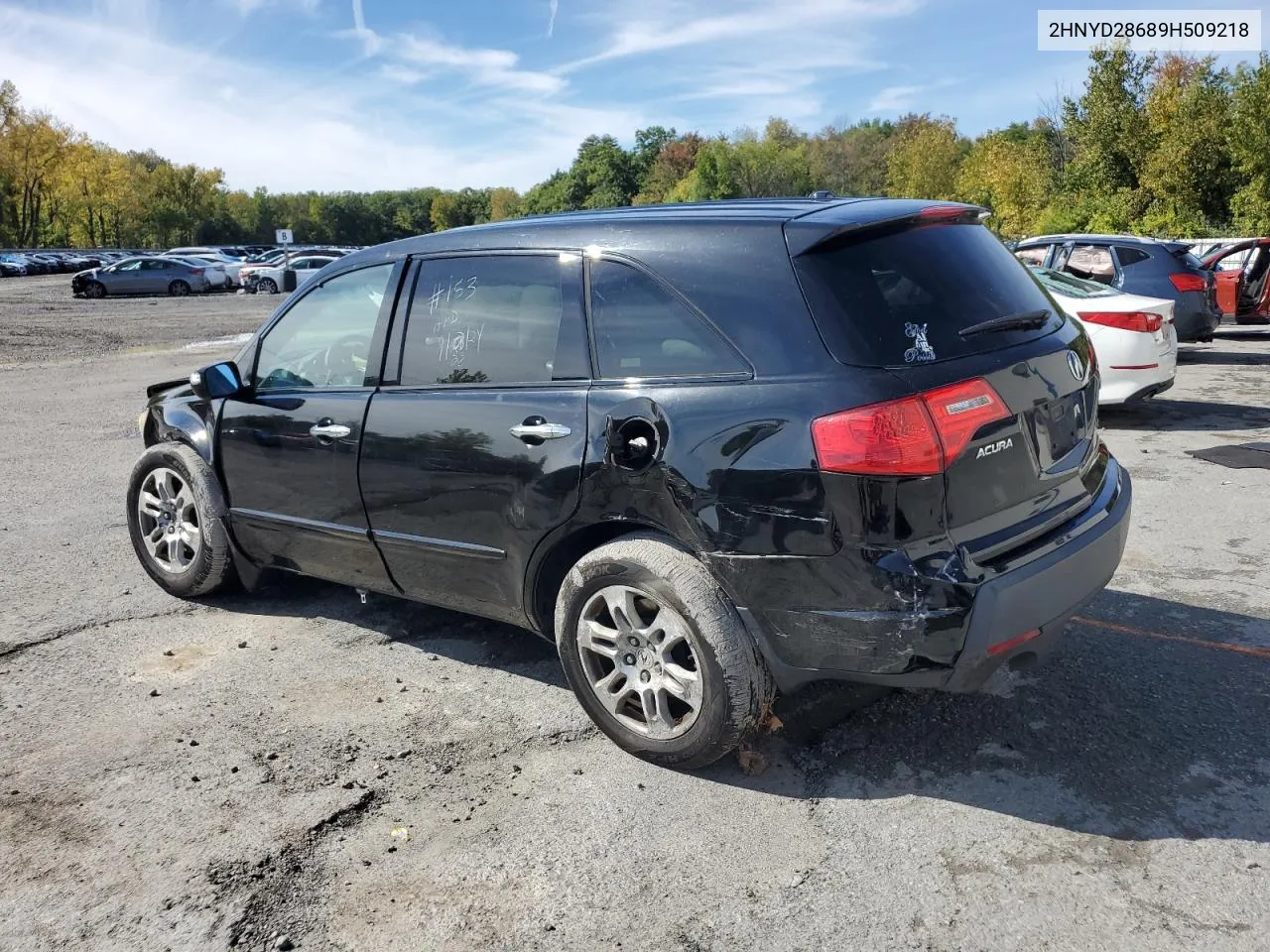 2009 Acura Mdx Technology VIN: 2HNYD28689H509218 Lot: 73175314