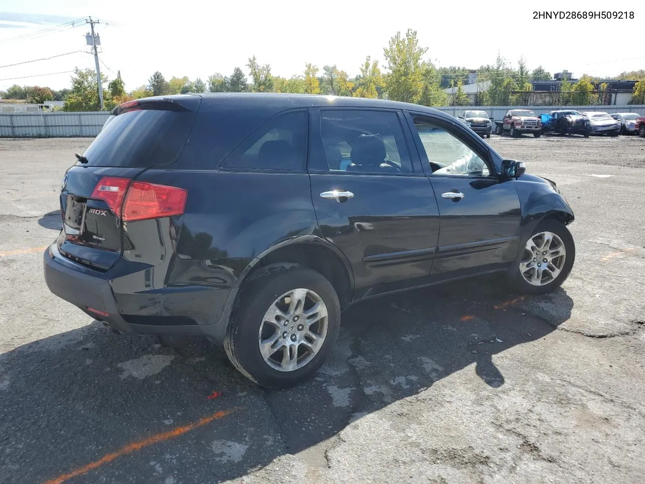 2009 Acura Mdx Technology VIN: 2HNYD28689H509218 Lot: 73175314