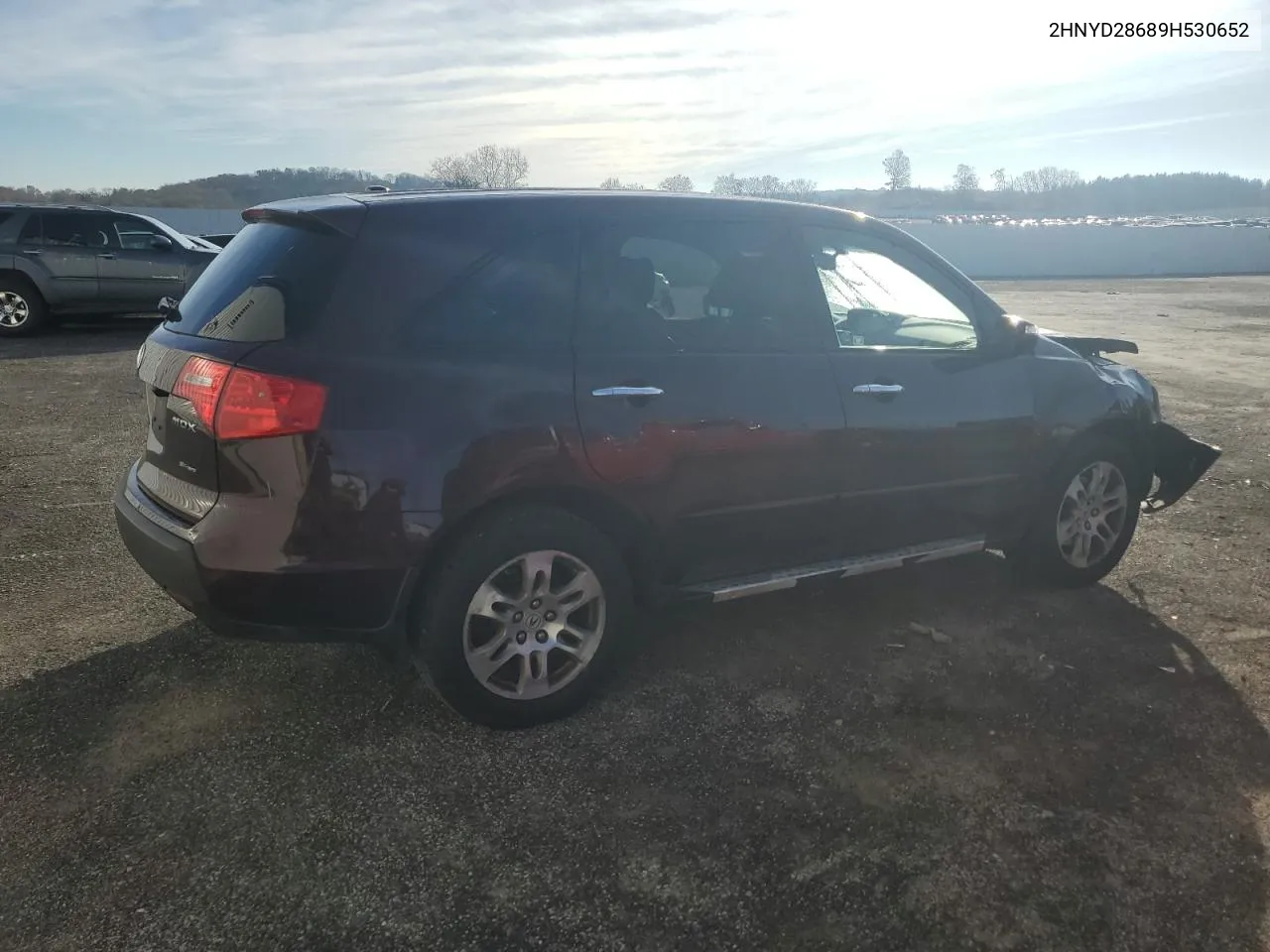 2009 Acura Mdx Technology VIN: 2HNYD28689H530652 Lot: 79914454