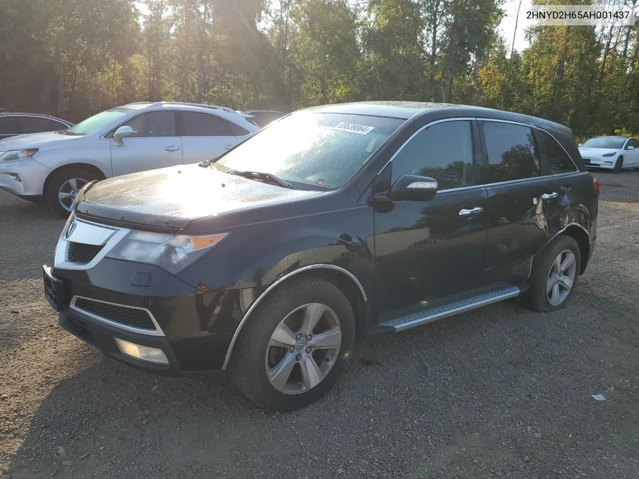 2010 Acura Mdx Technology VIN: 2HNYD2H65AH001437 Lot: 69539064