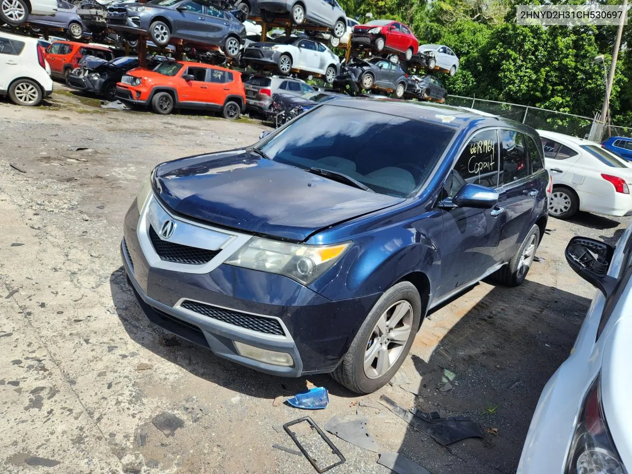 2012 Acura Mdx Technology VIN: 2HNYD2H31CH530697 Lot: 66181964