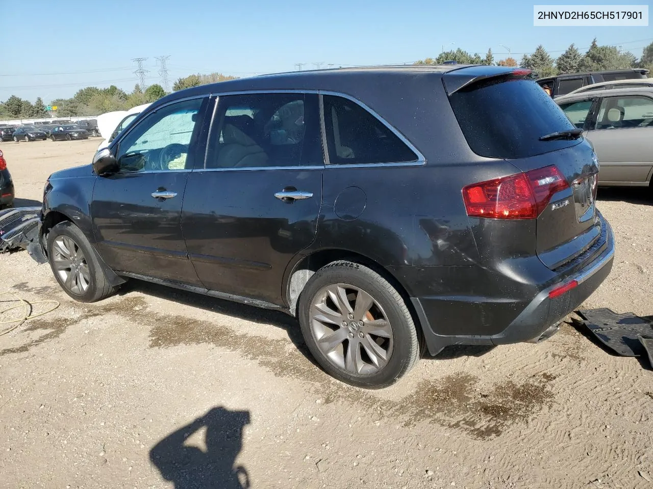 2012 Acura Mdx Advance VIN: 2HNYD2H65CH517901 Lot: 75177634