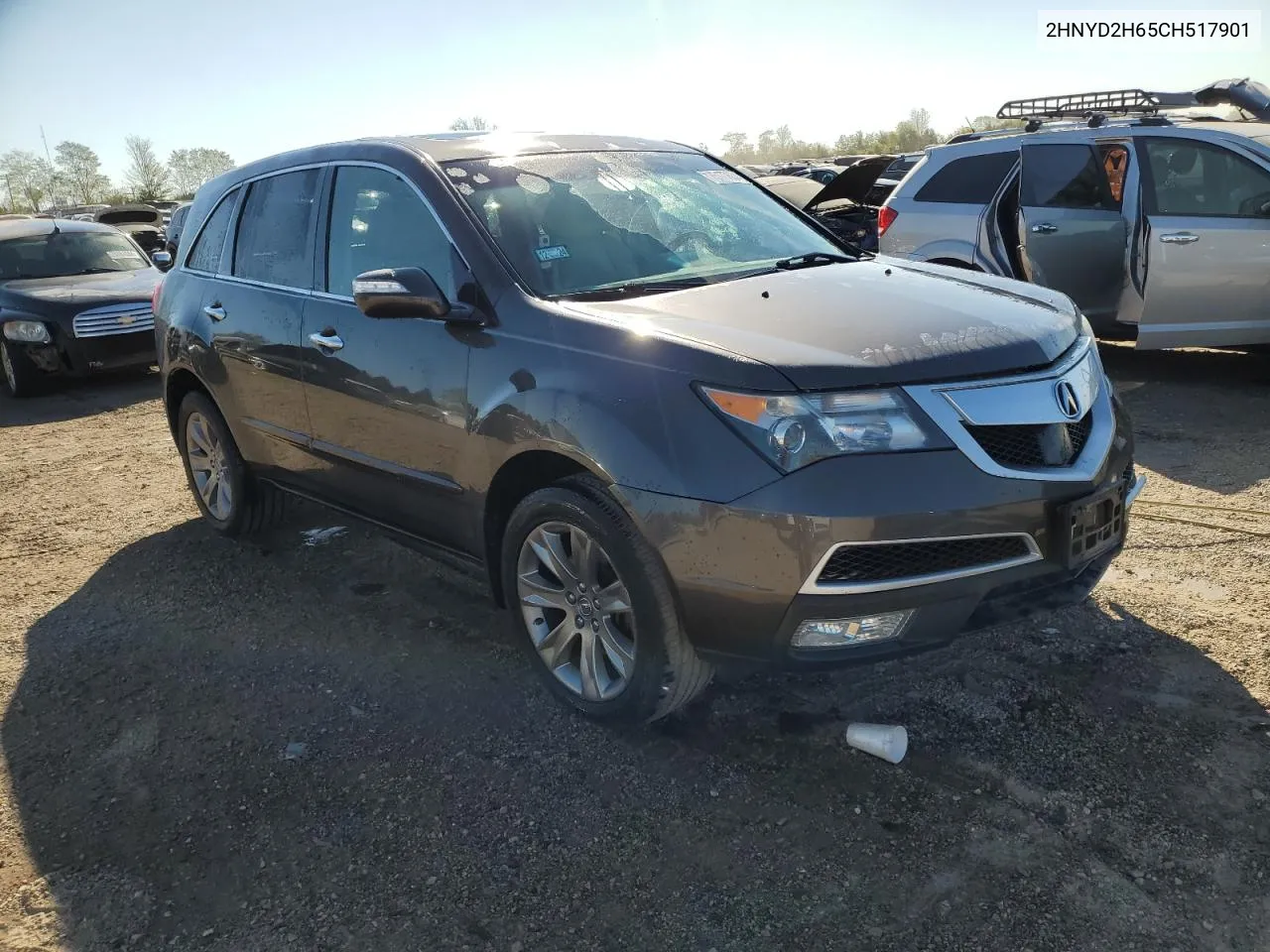 2012 Acura Mdx Advance VIN: 2HNYD2H65CH517901 Lot: 75177634