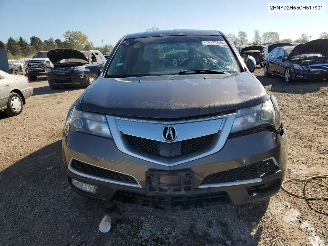 2012 Acura Mdx Advance VIN: 2HNYD2H65CH517901 Lot: 75177634