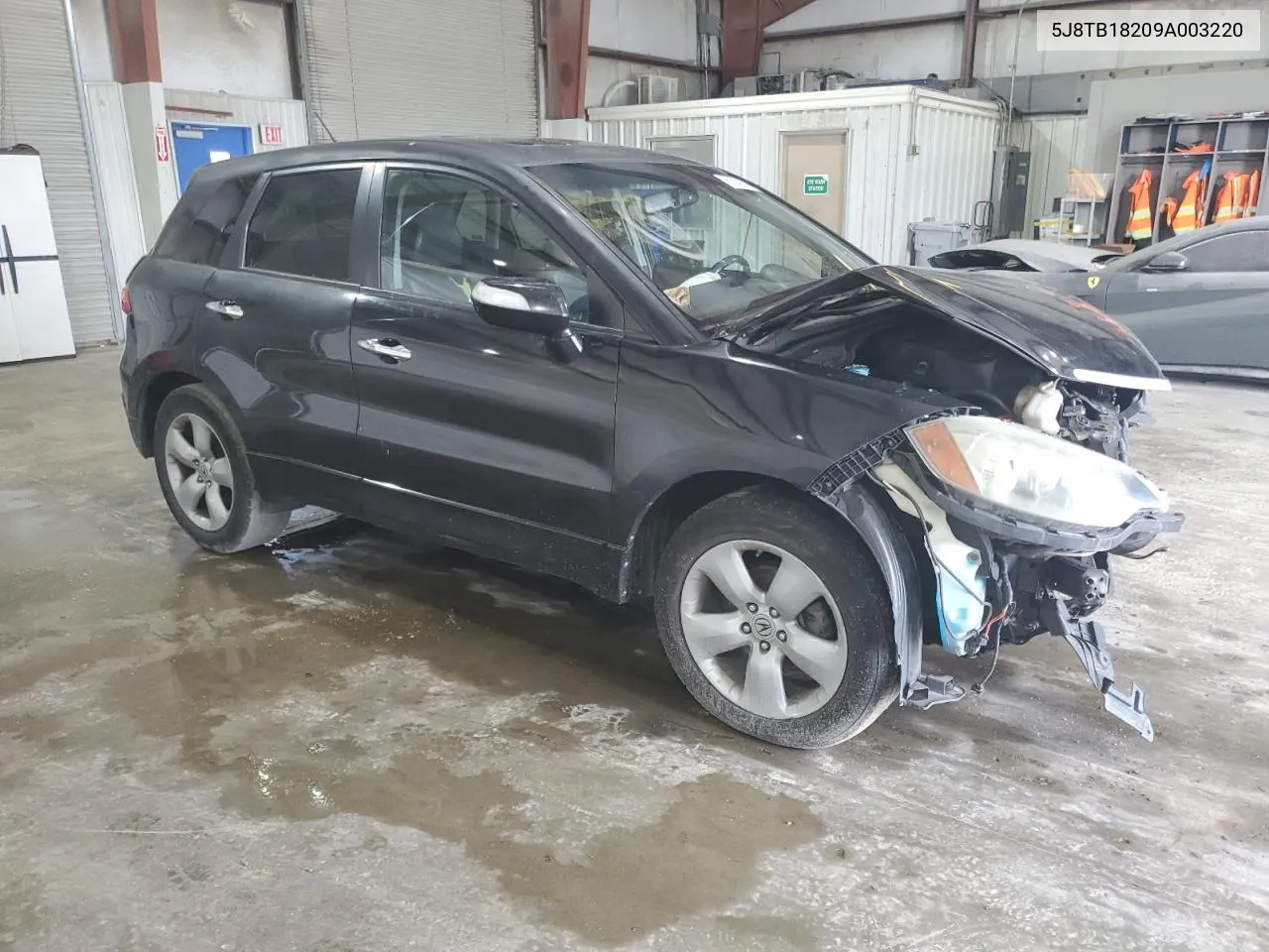 2009 Acura Rdx VIN: 5J8TB18209A003220 Lot: 61841614