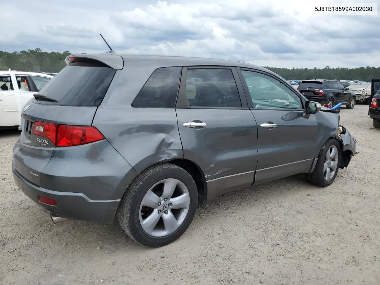 2009 Acura Rdx Technology VIN: 5J8TB18599A002030 Lot: 73553464