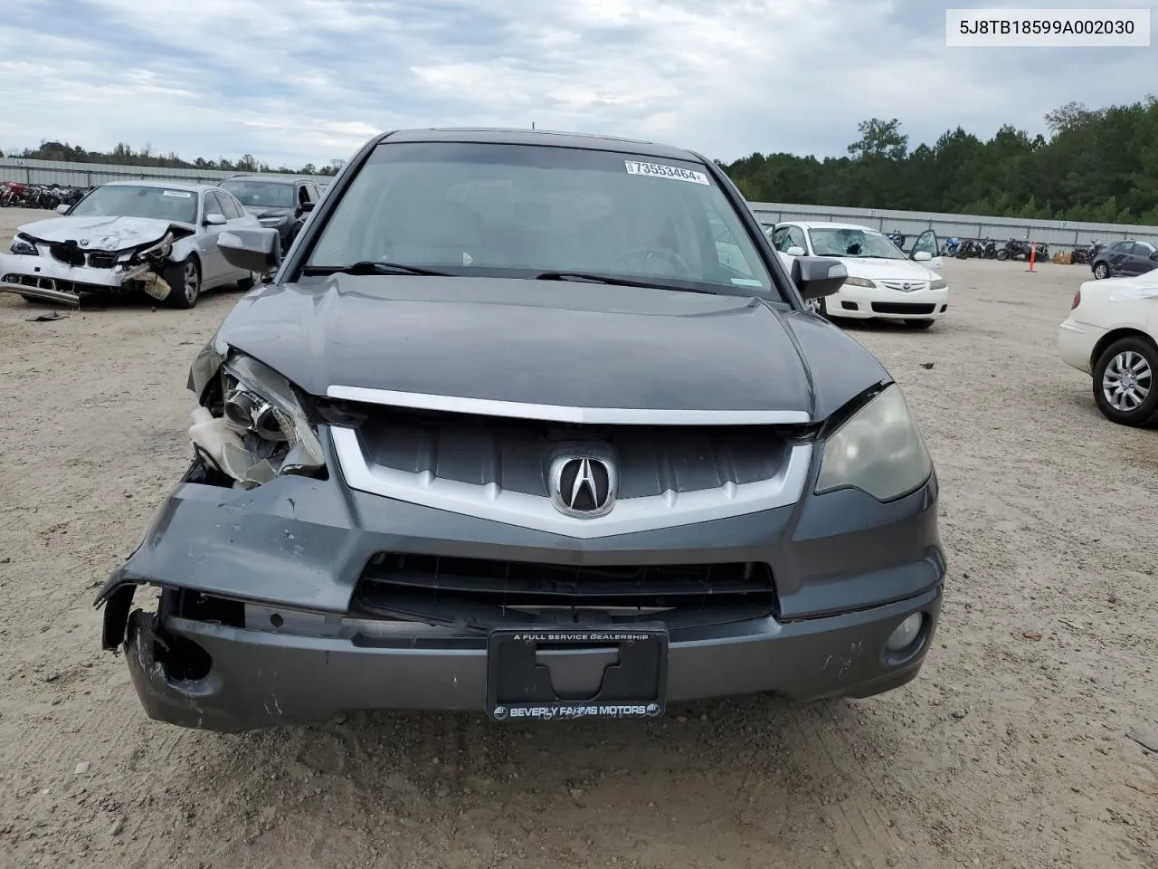 2009 Acura Rdx Technology VIN: 5J8TB18599A002030 Lot: 73553464