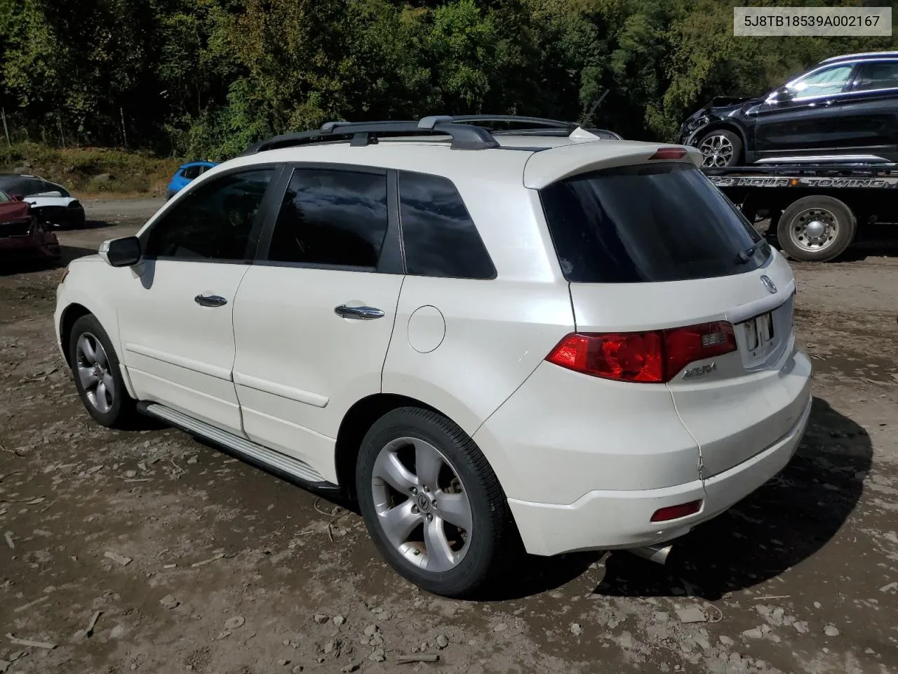 2009 Acura Rdx Technology VIN: 5J8TB18539A002167 Lot: 73919474