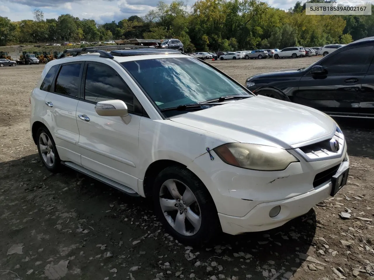 2009 Acura Rdx Technology VIN: 5J8TB18539A002167 Lot: 73919474