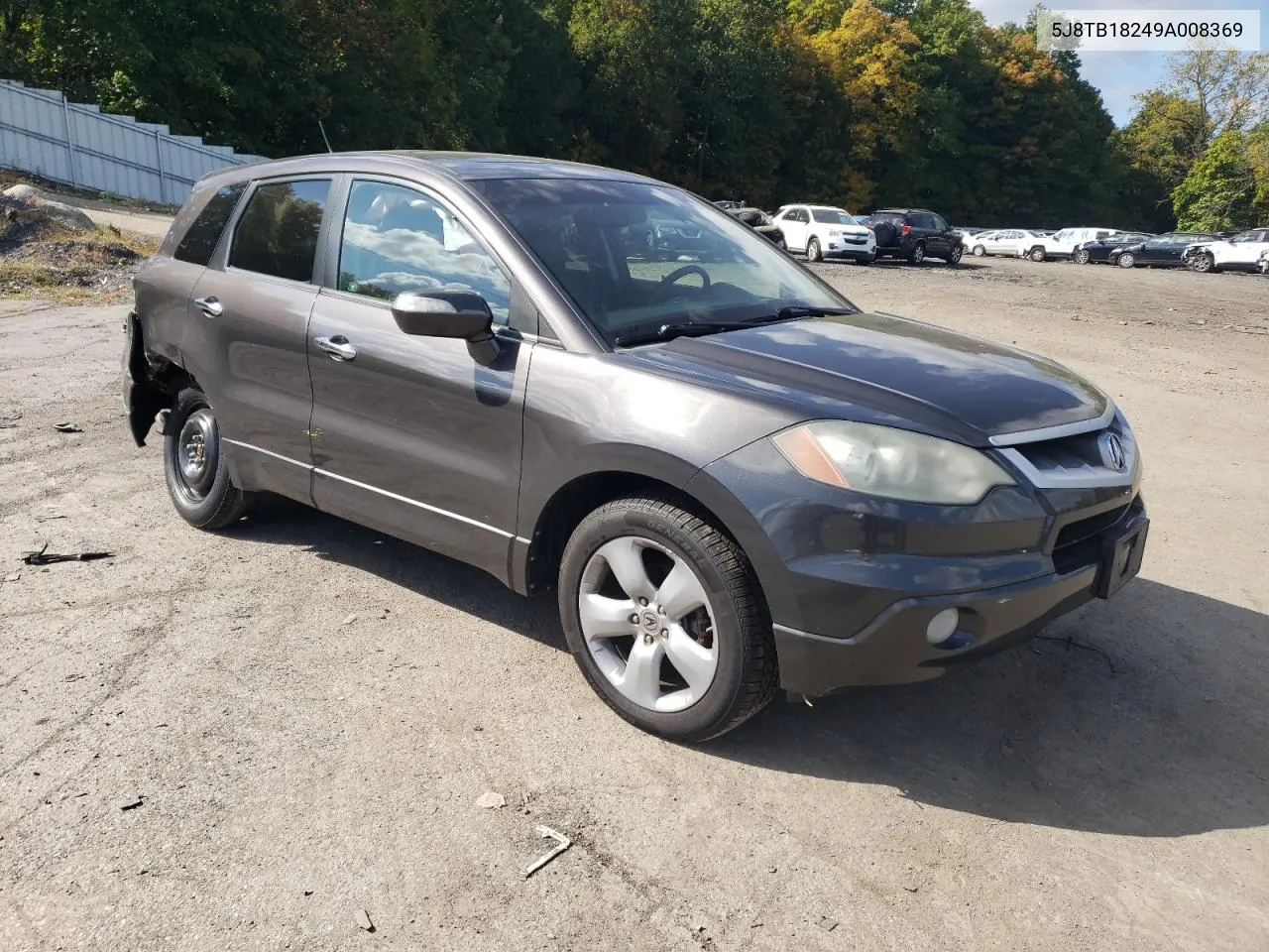 2009 Acura Rdx VIN: 5J8TB18249A008369 Lot: 74082294